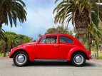 Thumbnail Photo 101 for 1956 Volkswagen Beetle